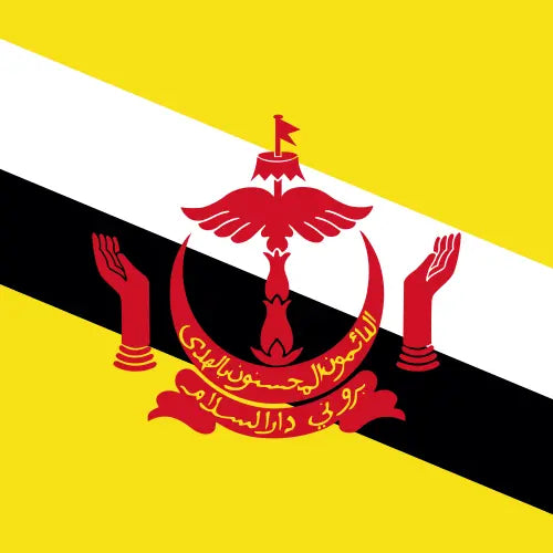 Brunei Darussalam eSIM Plan